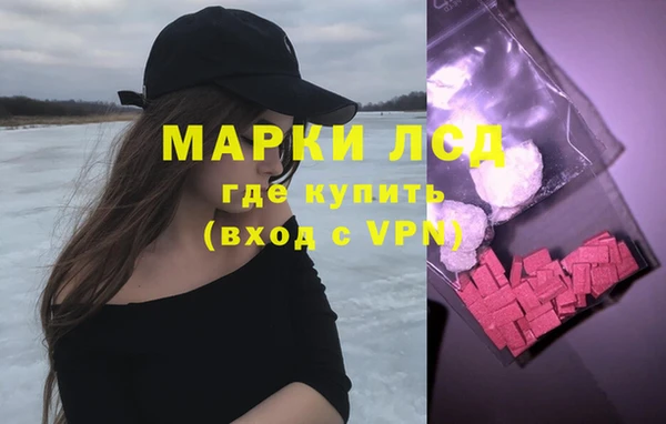 сатива Лабытнанги