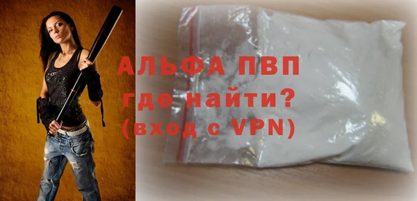 прущие грибы Долгопрудный
