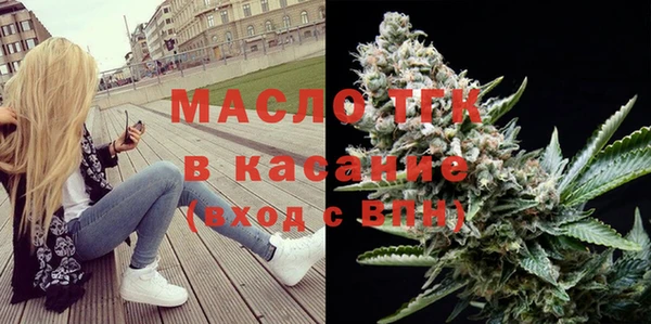 сатива Лабытнанги