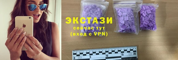 сатива Лабытнанги
