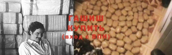 сатива Лабытнанги