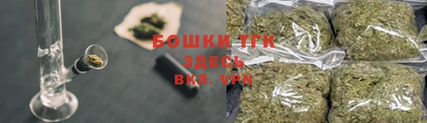 сатива Лабытнанги