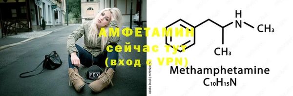 сатива Лабытнанги