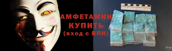 сатива Лабытнанги
