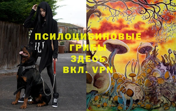 мефедрон мука Орехово-Зуево