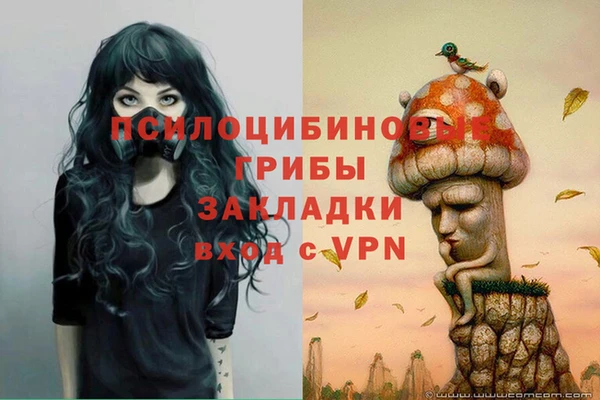 сатива Лабытнанги
