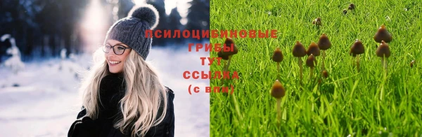 сатива Лабытнанги
