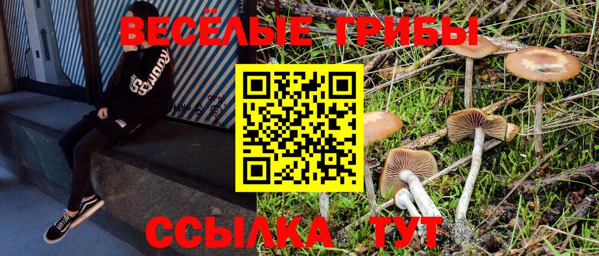 Псилоцибиновые грибы мухоморы  магазин  наркотиков  Ржев 