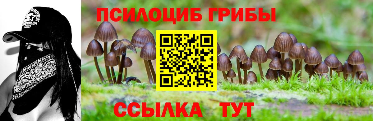 Галлюциногенные грибы прущие грибы Ржев