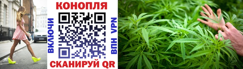 хочу Ржев Каннабис Amnesia