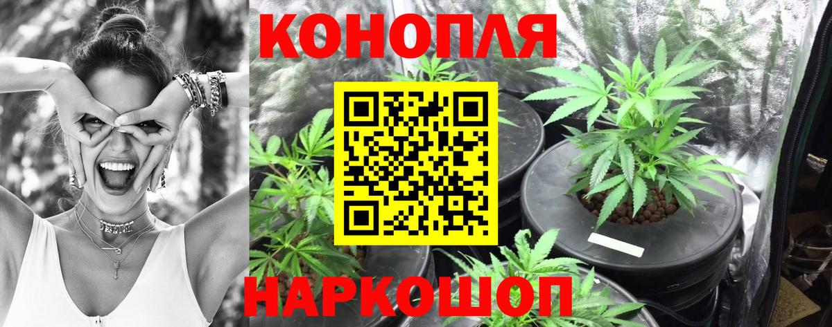 Канабис OG Kush  Бошки Шишки Amnesia  Конопля тримм  Бошки марихуана план  Ржев 